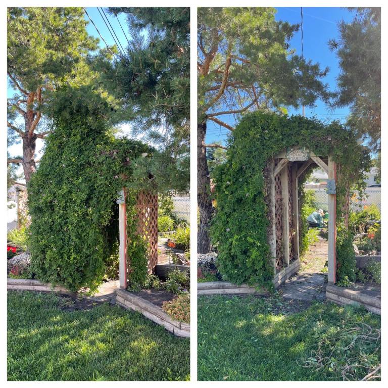 Yard Work by Darren 3 768x768