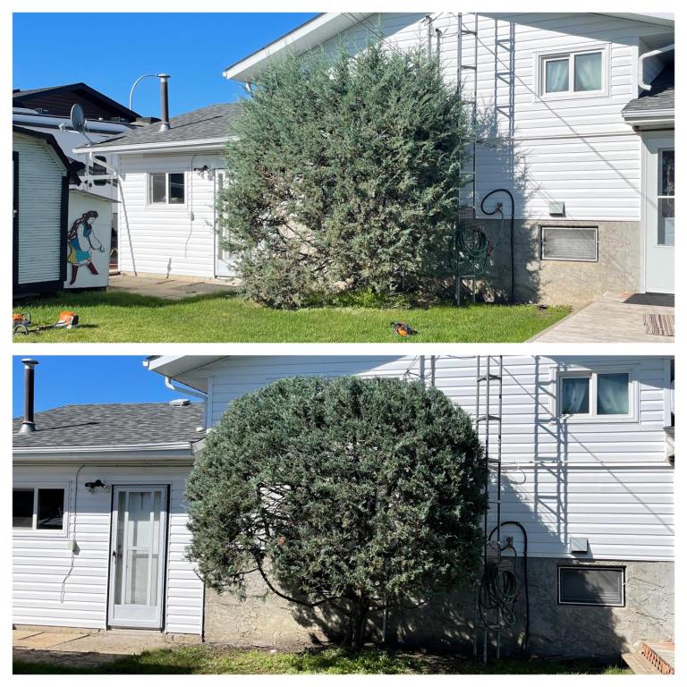 Yard Work by Darren 4 768x768